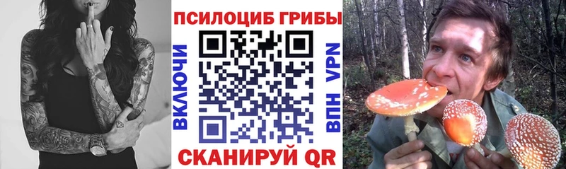 Псилоцибиновые грибы ЛСД  Сухиничи 
